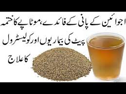 Ajwain Water Benefits In Urdu Ajwain Ka Pani Ke Fayde Carom Seeds Youtube Water Benefits Health And Beauty Tips Health And Beauty
