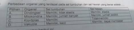 We did not find results for: Perbedaan Organel Yang Terdapat Pada Sel Tumbuhan Dan Sel Hewan Yang Benar Adalah Brainly Co Id
