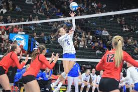 Wadena-Deer Creek falls to defending state volleyball champs
