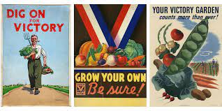 Kicking It Old School: How To Grow A Victory Garden - Salisbury Greenhouse