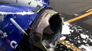 Image result for White Knuckle 2018 Fleet