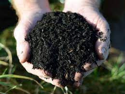 What is soil amendment, and do you need it? 9 Surprising Borax Uses In The Garden Gardeners Magazine