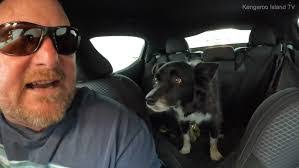 Francesca Christopher's Instagram, Twitter & Facebook