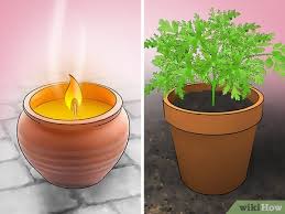 How to prevent mosquito bites? 3 Ways To Get Rid Of Mosquitoes Wikihow