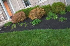 We have knowledgeable staff who understand horticulture and pay attention to detail. Angelic Landscaping Remora Drive Lexington Ky 40517 Yp Com