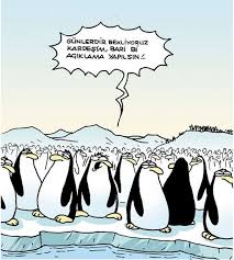 Penguen Karikaturleri Karikatur Penguen Mizah