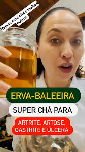 Já conhece o Chá Horse Head do Ceilão? O Chá do Ceilão é um chá preto que  possui sabor e qualidade inigualáveis. Produzido no Sri Lanka, antigamente  chamado de Ceilão, uma ilha