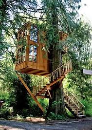 Oh How Lovely Back In The Day I Ve Climbed Tree Houses Etc But Now Any Stairs Are A Challenge For Me Beautiful Tree Houses Cool Tree Houses Tree House