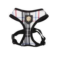 571 other amazon coupons and deals also available for september 2021. Puppia Junior Over The Head Dog Harness Dog Harnesses Petsmart