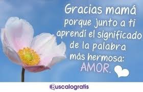 Carta ami madre que ya no esta. Frases Para Agradecer A Una Madre Palabras De Gratitud Frases De Agradecimiento Agradecimiento A Mi Madre