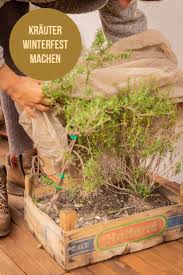 Balkon Krauter Uberwintern Garten Fraulein Der Garten Blog Winterfest Machen Gruner Garten Balkon Pflanzen