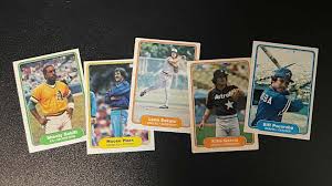 Image result for Brun Erable 1982 Fleet