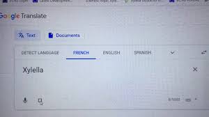 How to say bridge partner in english? 3 Cool Ways How To Pronounce Xylella Fastidiosa Biovexo