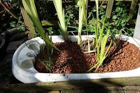 helofytenfilters maken om water vanuit de hemelwaterafvoer te zuiveren voor het de vijver inloopt tuin ideeen doe het zelf planten tuinieren