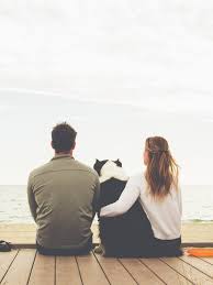 Euthanasia is used to avoid any suffering from a pet. Pet Euthanasia At Home 6 Ways To Make It Easier On Them And You Self