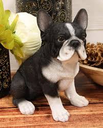 Maybe you would like to learn more about one of these? Ebros Realistic Black French Bulldog Puppy Dog With Glass Eyes Statue 7 Tall Bulldog Figurine Bulldog Puppies Black French Bulldogs