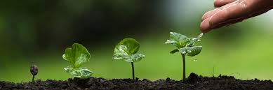 I recently heard that there are certain parts of a halal animal that remain haram. When The Earth Speaks Against Us Environmental Ethics In Islam Yaqeen Institute For Islamic Research