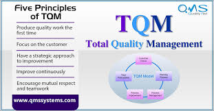 Five Principles Of Tqm Document Management System Management Process Improvement