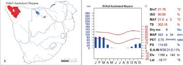 Image result for Leptocarydion vulpiastrum