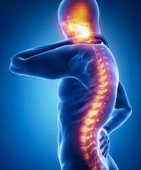 The nervous system is a complex network of neurons and cells that carry messages to and from the brain and spinal cord to various parts of the body. Central Nervous System Cns Disorders Endobios