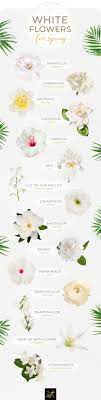 Those are two names for the same thing. Pin By Jennifer Kateri On Furniture Flower Names Types Of White Flowers Wedding Flower Types