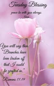 Tuesday Blessings Prayers Morning Blessings Morning Prayer Quotes Tuesday Quotes Good Morning