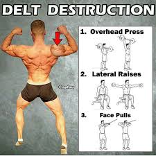 Pin By Angel Aguilar Corrales On Sport And Exercise Deltoid Workout Muscle Groups To Workout Shoulder Workout