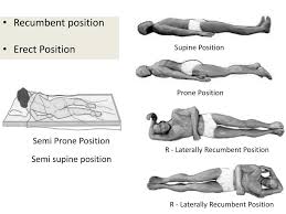 Reason #4501 i heard was with the lungs and left main stem bronchus being at an angle. Ppt What Is Anatomy Powerpoint Presentation Free Download Id 2227398