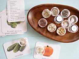 Exploring Seeds Seed Matching Set From Etsy Montessori Montessori Materials Montessori School