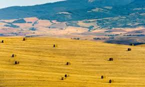 Richiedi informazioni e prenota la tua vacanza o weekend in campagna tra 8 annunci su casevacanza.it. I 10 Migliori Agriturismi Di San Casciano Dei Bagni Italia Booking Com