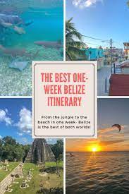 The Best Belize Itinerary From The Jungle To The Beach In One Week Belize Travel Belize Travel Guide South America Travel Destinations
