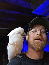 Lost Dog Found in Washington County PA Area