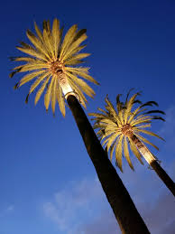 Roto Lite Inc Rgbw Palm Tree Ring Light Low Voltage
