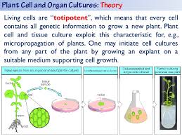 See all formats and editions hide other formats and editions. Biotechnological Production Of Natural Products By Dr Refaat Hamed