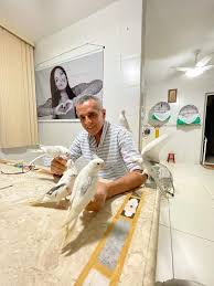 Ninho dos Colibris – Venda de Pássaros Legalizados