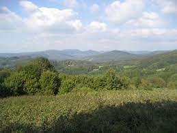 Wir bitten alle aktiven natursportler aufeinander rücksicht zu nehmen. Wurzburger Haus 786 M