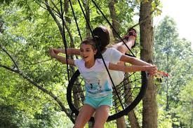 It can, however, be more invasive. Mommy Bytes How To Install A Swing Between Trees