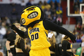 The school's team currently competes in the southwestern athletic conference. Iowa Hawkeyes Alabama State Hornets Preview How To Watch Open Thread Black Heart Gold Pants