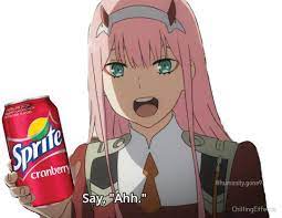 Say Cranberry Zero Two Know Your Meme Follow my co creator on twitch. say cranberry zero two know your meme