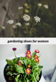 Gardening Shoes For Women 36 20181111115334 53 Pinterest Gardening Decor Avenra Garden Hotel Vehicles Organic Horticulture Gardening Shoes Water Garden