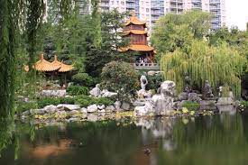 Chinese Friendship Gardens Sydney Australia Chinese Garden Landscaping Inspiration Darling Harbour