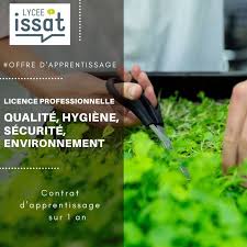 Bac 3 Qualite Hygiene Environnement En 2020 Hygiene Amelioration Continue Apprentissage
