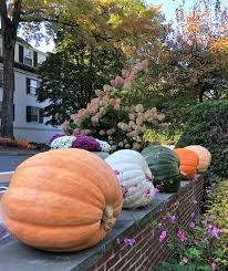 Square hay bales stacked up on the front yard can be a great start on an outdoor autumn decoration. Amazing Ideas For Fall Outdoor Decor Sweet Pea