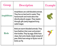 Vertebrates And Invertebrates Worksheets Classifying Animals