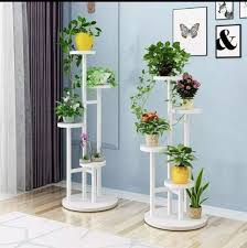 Ultimate Guide To Succulents In 2020 House Plants Decor Plant Decor Indoor Plant Decor