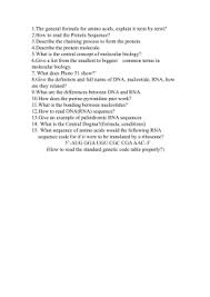 What are three ways dna differs from rna? 34 Section 12 3 Rna And Protein Synthesis Worksheet Answers Worksheet Project List