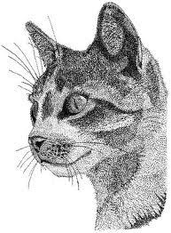 Image result for pointillismo arte divisionismo