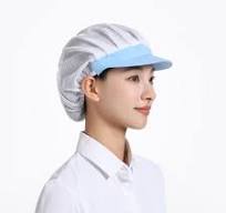 Disposable Mob Cap Non Woven Pp Surgical Clip Cap Factory Worker Cap Dust  Proof Head Cover