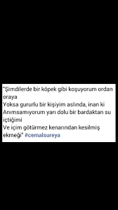 Simdi Bir Kopek Gibi Kosuyorum Ordam Oraya Yoksa Gururlu Bir Kisiyim Aslinda Inan Ki Cemal Sureya Siir Sanati Simsek Kopek