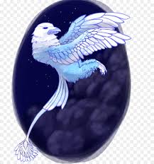 Indonesia mempunyai jutaan spesies langka yang patut menjadi kebanggaan buat kita. Download 990 Koleksi Background Elang Biru Hd Terbaik Download Background